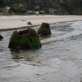 Neskowin Beach 2026-04-19