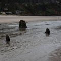 Neskowin Beach 2026-04-19
