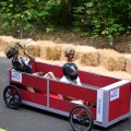 PDX Adult Soapbox Derby 2026