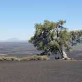 Craters of the Moon