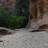 Zion National Park