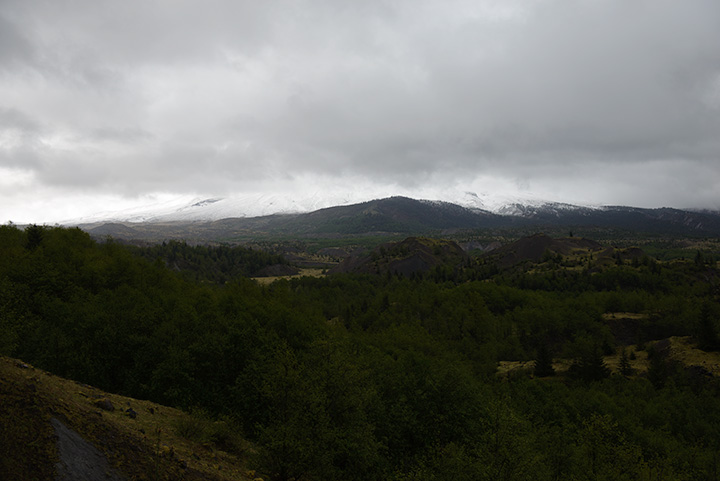 Mt. St. Helens hiding in the low clouds and valley with trees and hummocks on May 18, 2025. Photo: Bryan Dorr.